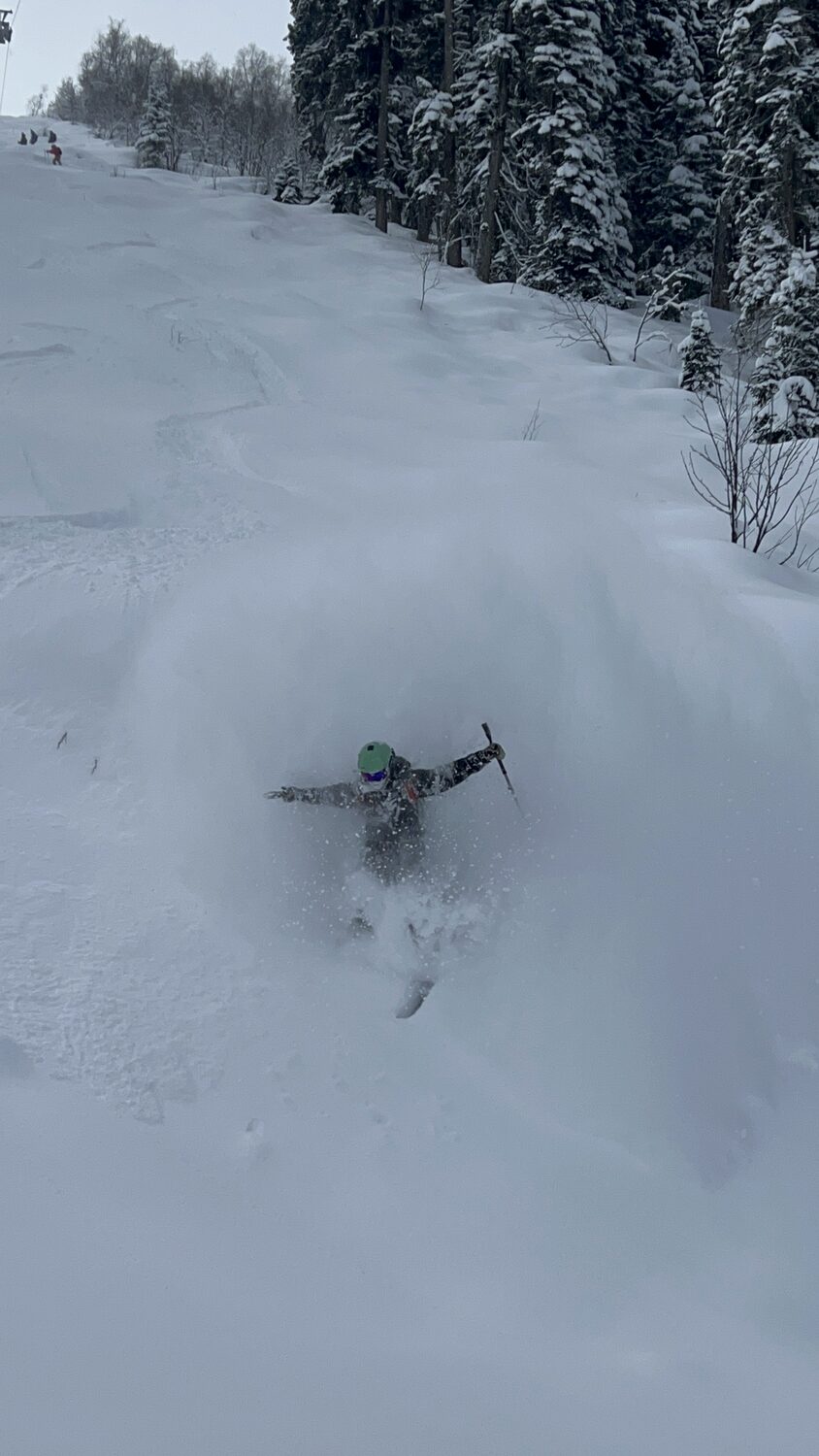 Skier in deep powder
