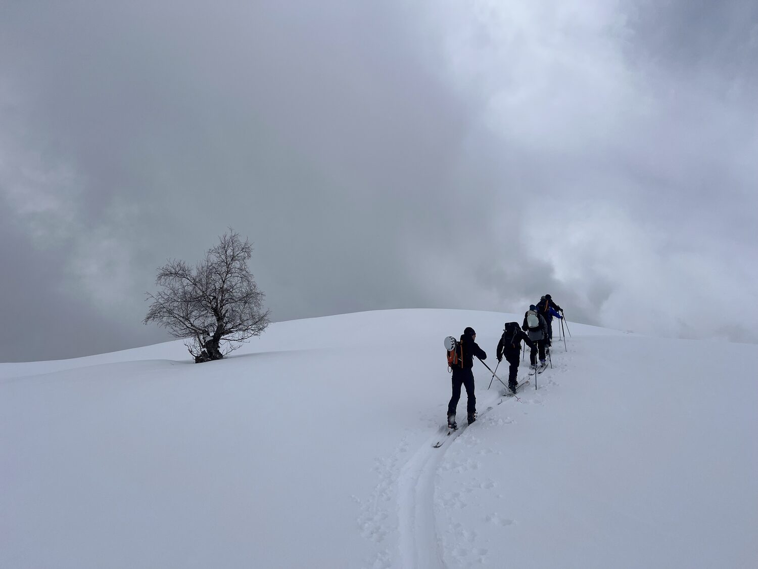 Skinning through the mist
